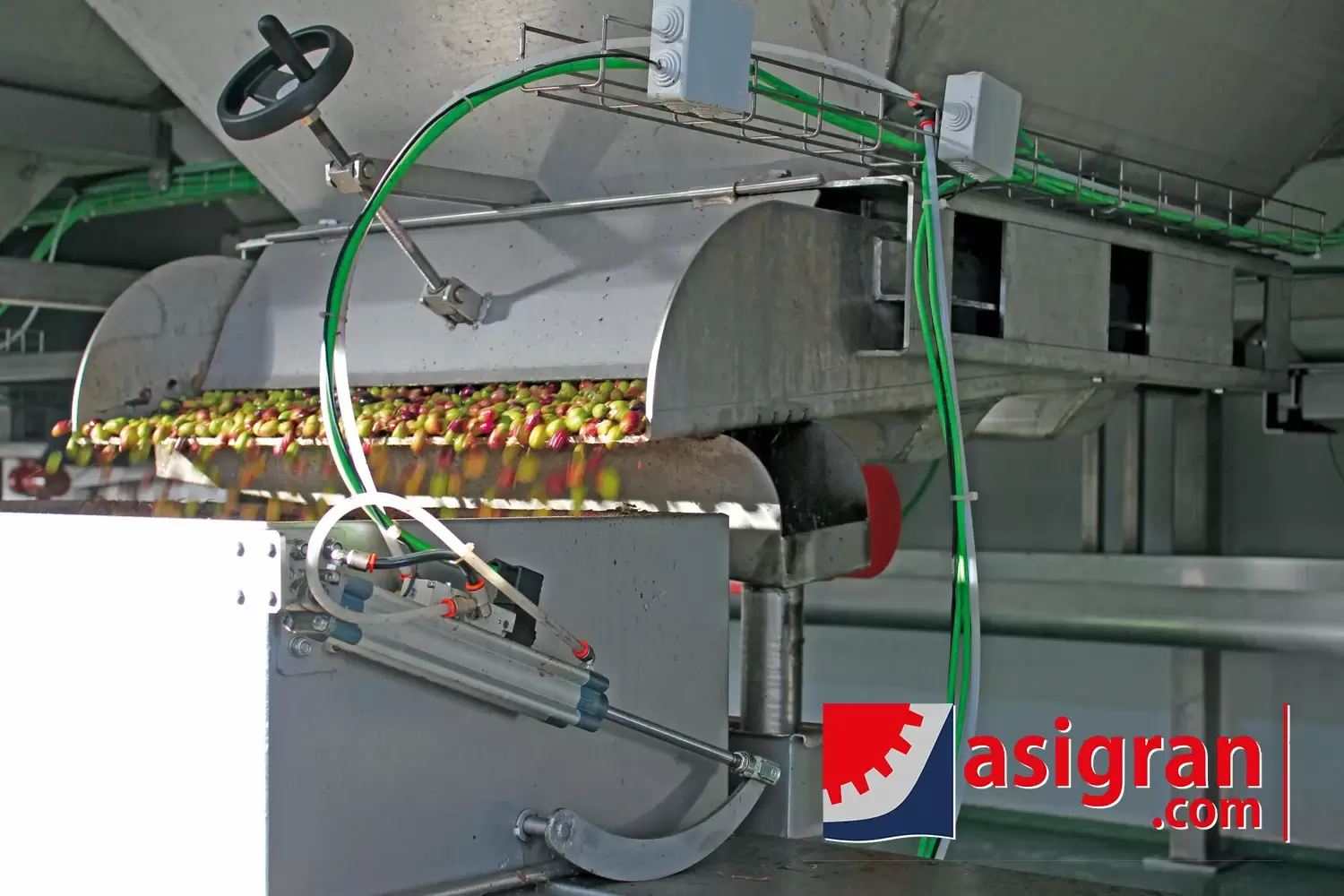 Tolvas para almacenamiento de aceituna